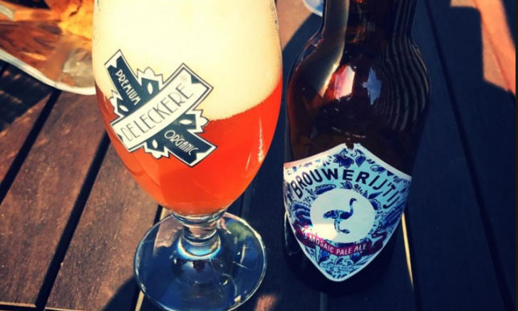 Glas Mosaic Pale Ale met bierfles